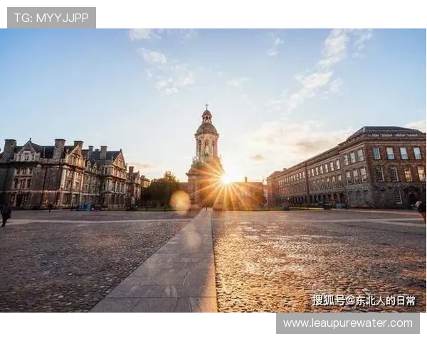 布雷斯特发展前景