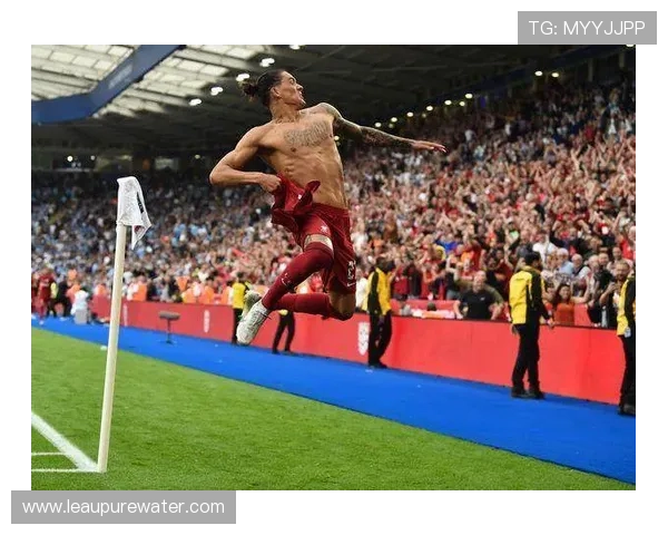 努涅斯与哈兰德竞争下如何立足新时代中锋格局