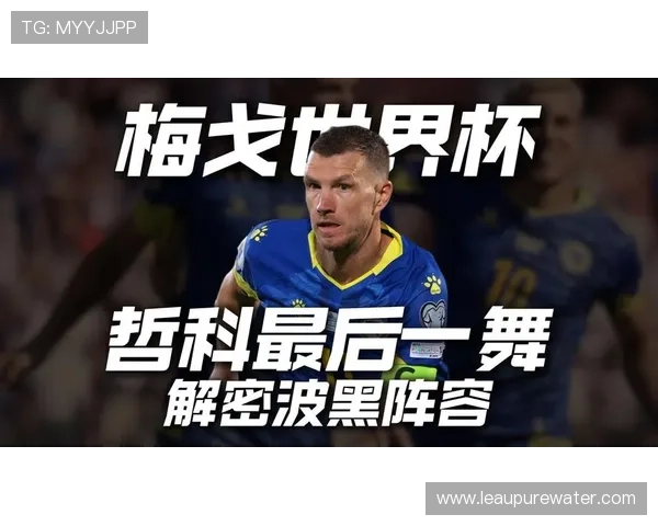 2026世界杯波黑队阵容预测 哲科领衔能否创造历史最佳战绩